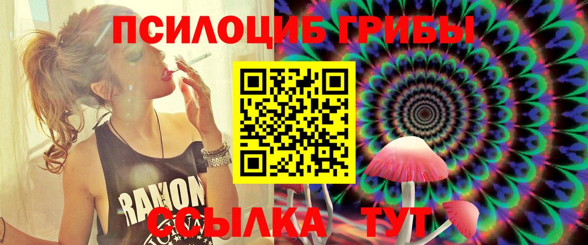 Псилоцибиновые грибы GOLDEN TEACHER Владикавказ