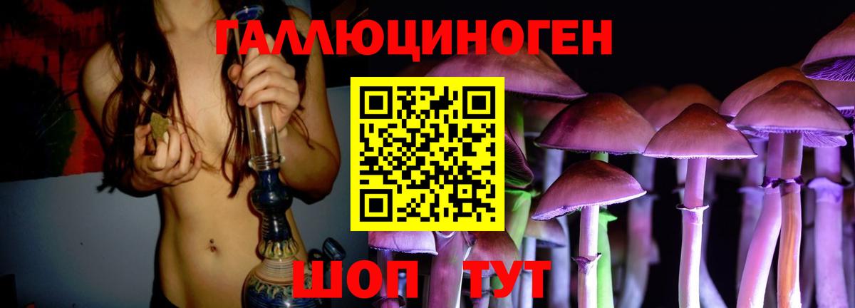 где купить наркотик  Вход с VPN  Псилоцибиновые грибы мицелий  Владикавказ  Псилоцибиновые грибы Psilocybe 
